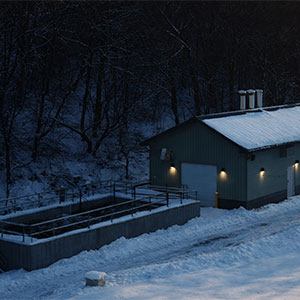 RBGS (MBBR - MMBR) | Réacteur Biologique à Garnissage en Suspension